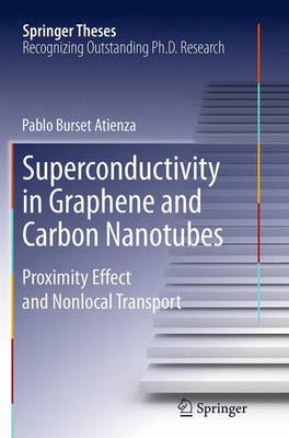 Book cover for Superconductivity in Graphene and Carbon Nanotubes