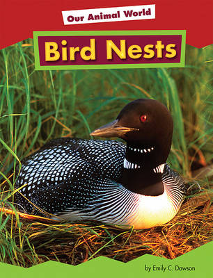 Book cover for Bird Nests