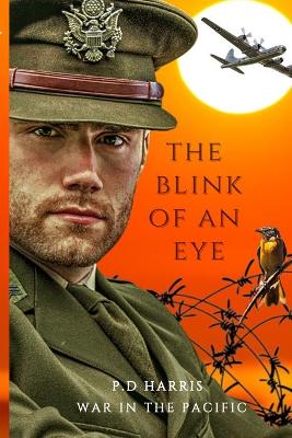 Book cover for The Blink Of An Eye