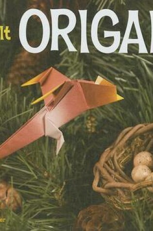 Cover of Difficult Origami