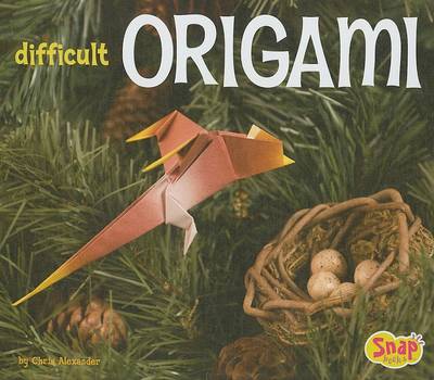 Cover of Difficult Origami