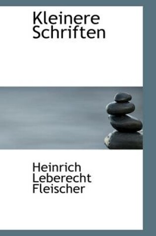 Cover of Kleinere Schriften