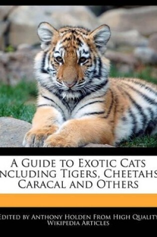 Cover of A Guide to Exotic Cats Including Tigers, Cheetahs, Caracal and Others