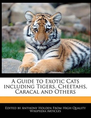 Book cover for A Guide to Exotic Cats Including Tigers, Cheetahs, Caracal and Others