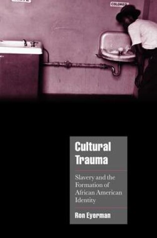 Cover of Cultural Trauma: Slavery and the Formation of African American Identity. Cambridge Cultural Social Studies