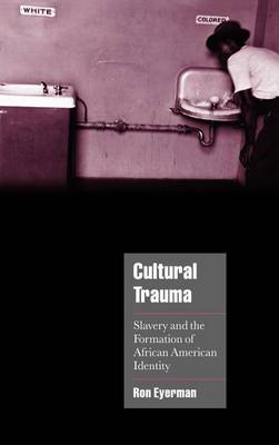 Book cover for Cultural Trauma: Slavery and the Formation of African American Identity. Cambridge Cultural Social Studies