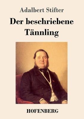 Book cover for Der beschriebene Tännling