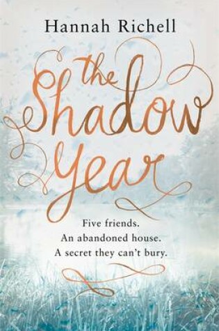 Cover of The Shadow Year