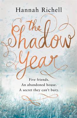 Book cover for The Shadow Year