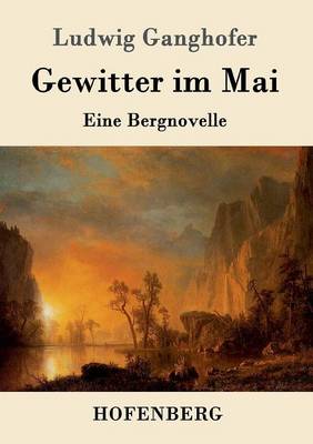 Book cover for Gewitter im Mai