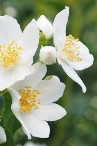 Cover of White Jasmine Flower Journal