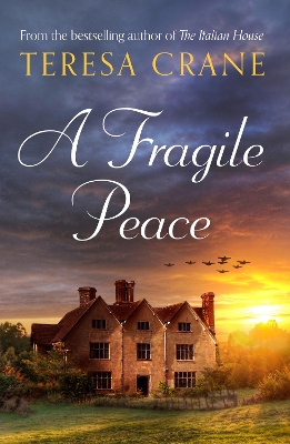 Book cover for A Fragile Peace