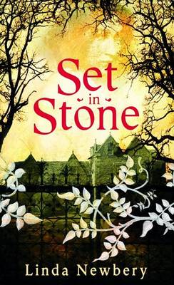 Book cover for Set in Stone