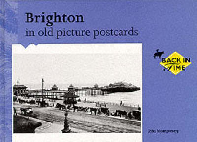 Book cover for Brighton in Old Picture Postcards