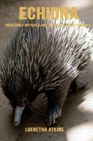 Cover of Echidna