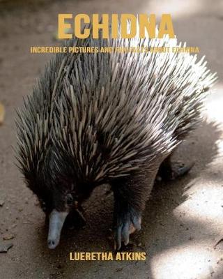 Book cover for Echidna