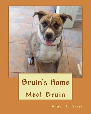 Book cover for Bruin's Home
