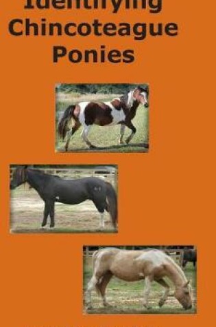 Cover of Identifying Chincoteague Ponies