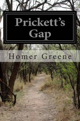 Book cover for Prickett's Gap