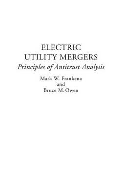 Book cover for Electric Utility Mergers
