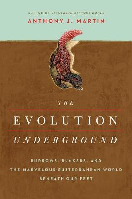 Book cover for The Evolution Underground