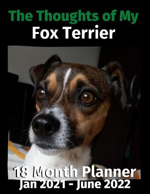 Book cover for The Thoughts of My Fox Terrier