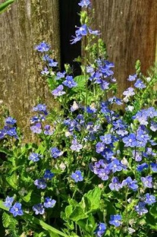 Cover of Veronica Speedwell Flowers Journal