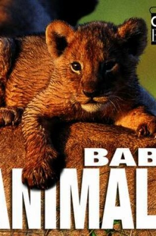 Cover of Baby Animals: Cubebook