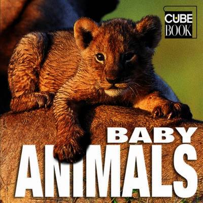 Book cover for Baby Animals: Cubebook