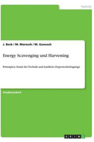 Cover of Energy Scavenging und Harvesting