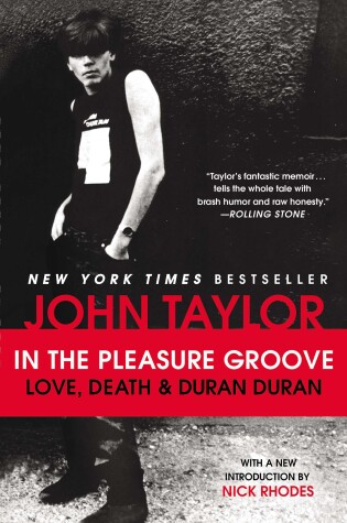 Cover of In The Pleasure Groove