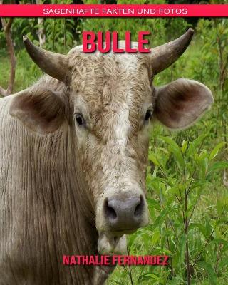 Book cover for Bulle