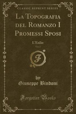 Book cover for La Topografia del Romanzo I Promessi Sposi, Vol. 2