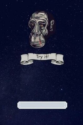 Cover of Try It!