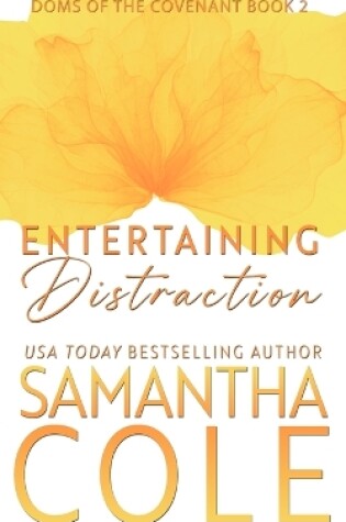 Cover of Entertaining Distraction