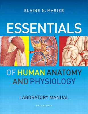 Book cover for Essentials of Human Anatomy & Physiology Laboratory Manual (2-downloads)