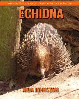 Book cover for Echidna