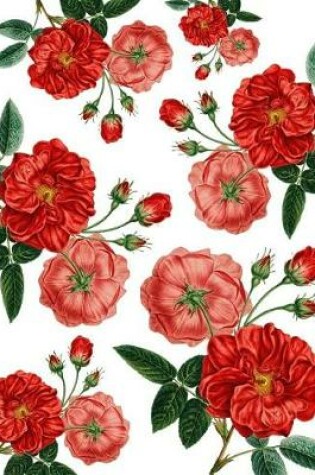 Cover of Vintage Red Roses White Journal Notebook 8.5 X 11 (150 Pages)