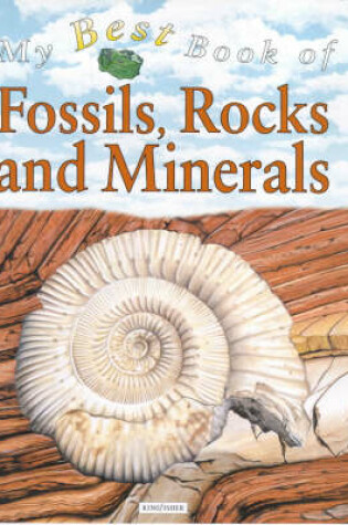 Cover of My Best Book of Fossils, Rocks and Minerals