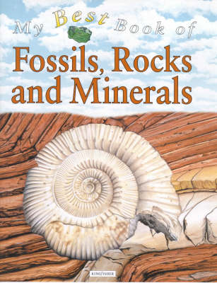 Book cover for My Best Book of Fossils, Rocks and Minerals