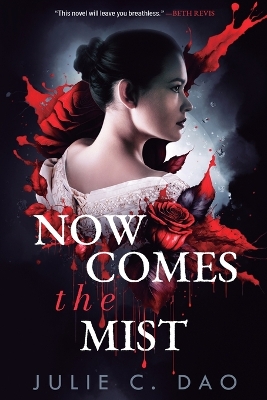 Cover of Now Comes the Mist