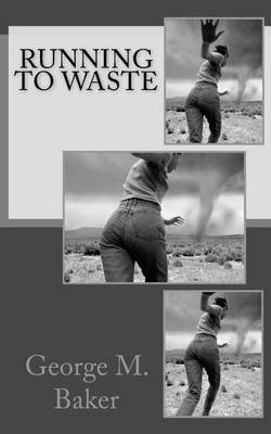 Book cover for Running To Waste
