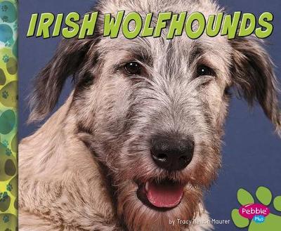 Book cover for Irish Wolfhounds