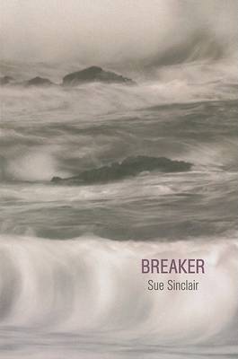 Book cover for Breaker