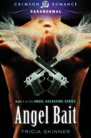 Cover of Angel Bait