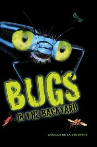 Cover of Bugs in the Backyard