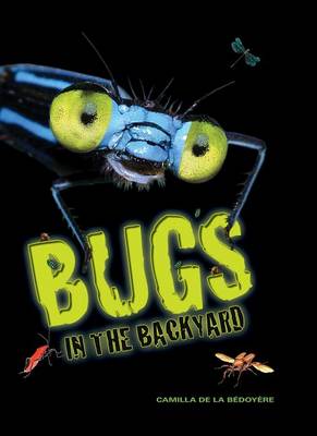Book cover for Bugs in the Backyard