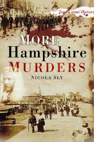 Cover of More Hampshire Murders