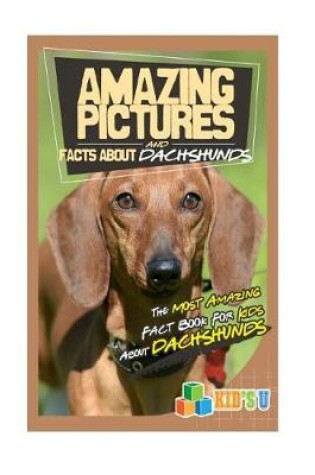 Cover of Amazing Pictures and Facts about Dachshunds