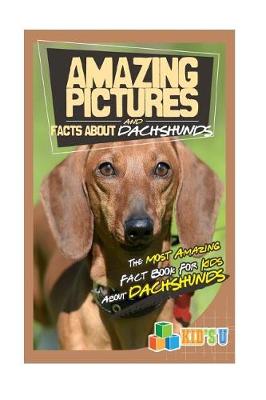 Book cover for Amazing Pictures and Facts about Dachshunds